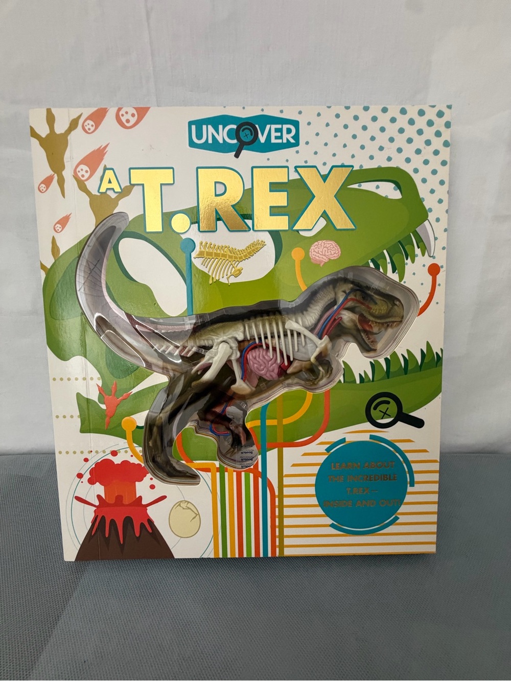 Uncover A T. Rex Book with 3D Model Silver Dolphin (F237)